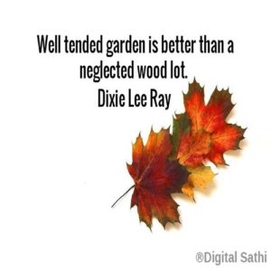 Quotes About Gardens